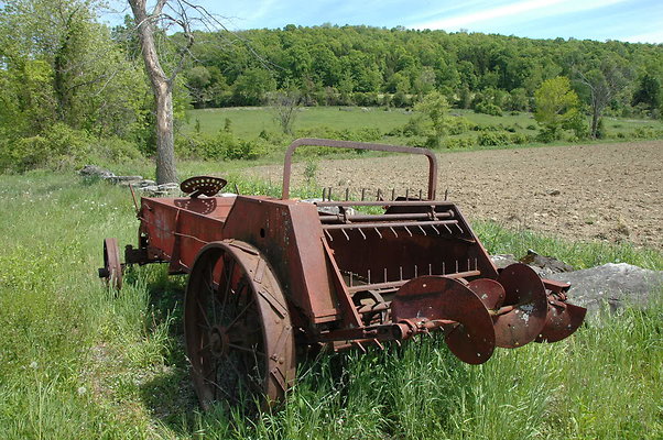 DSC 0138