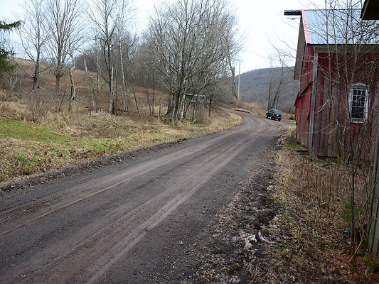 DSC 3367