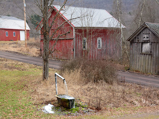 DSC 3409