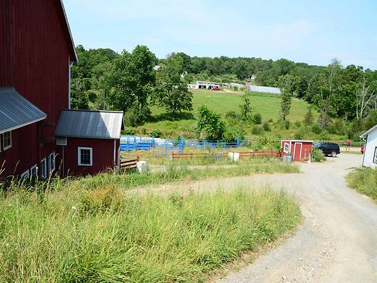 DSC 2415