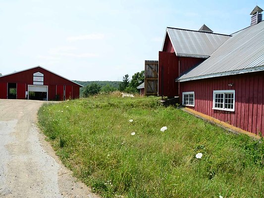 DSC 2414