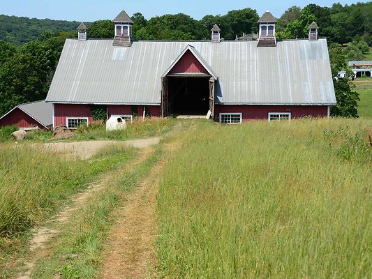 Barns