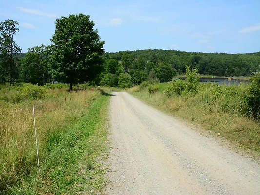 DSC 2307