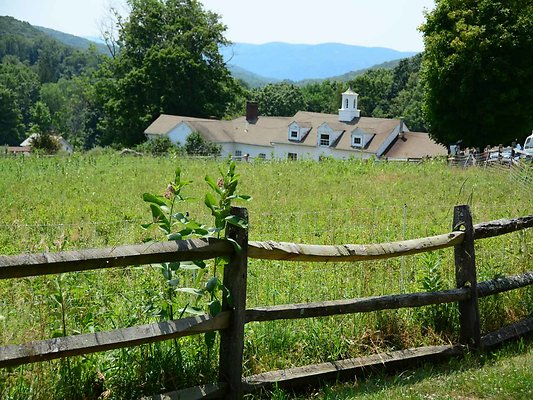 Field Behind Office