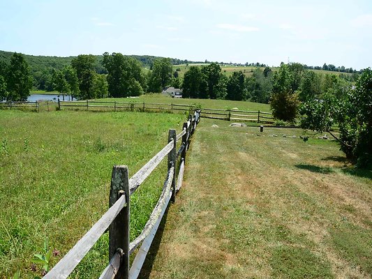 DSC 2250
