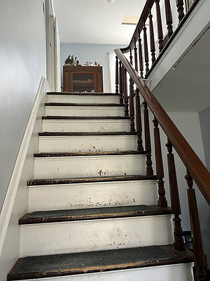 IMG 0528