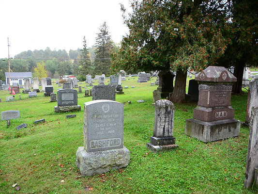DSC 5529