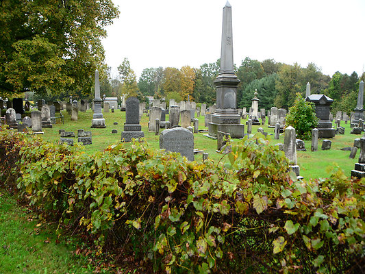 DSC 5635