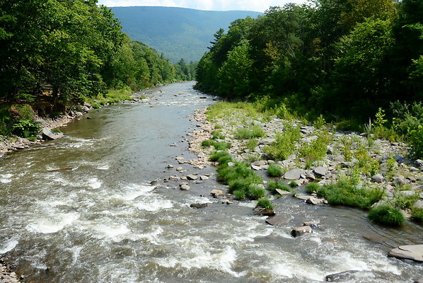 DSC 0597
