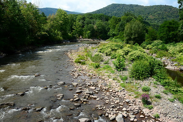 DSC 0598