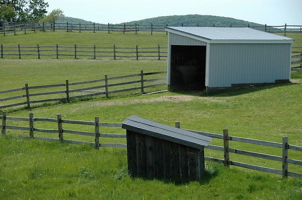 DSC 0024