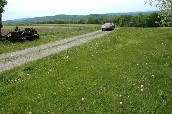 DSC 0136