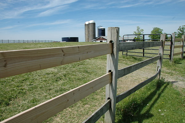 DSC 0082