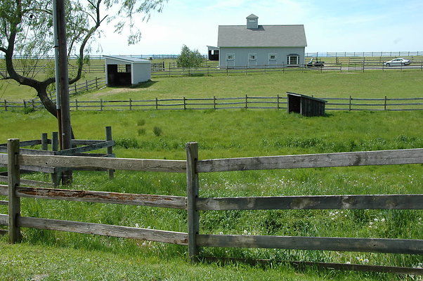 DSC 0026