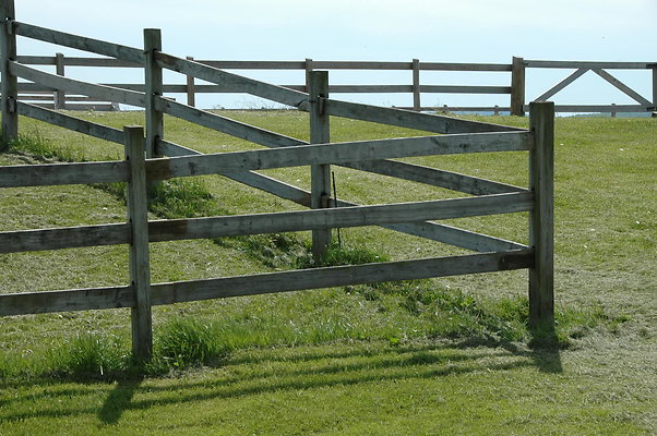 DSC 0096