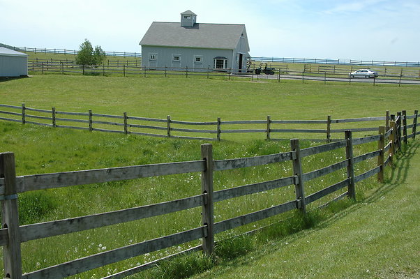 DSC 0022