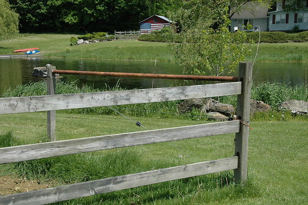 DSC 0006