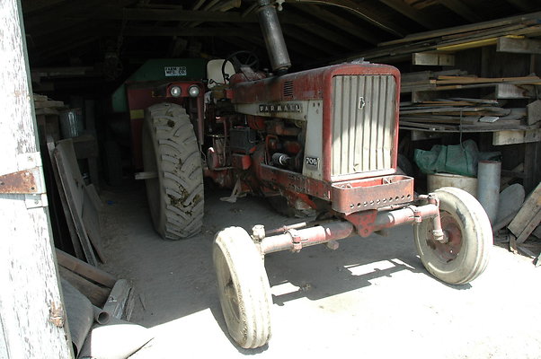 DSC 0113