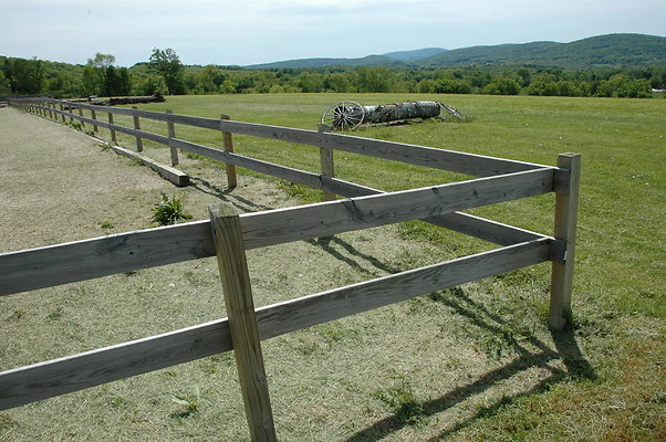 DSC 0101