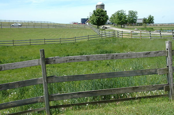 DSC 0025