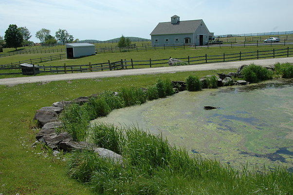 DSC 0061