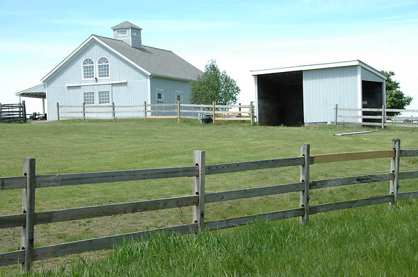 DSC 0029