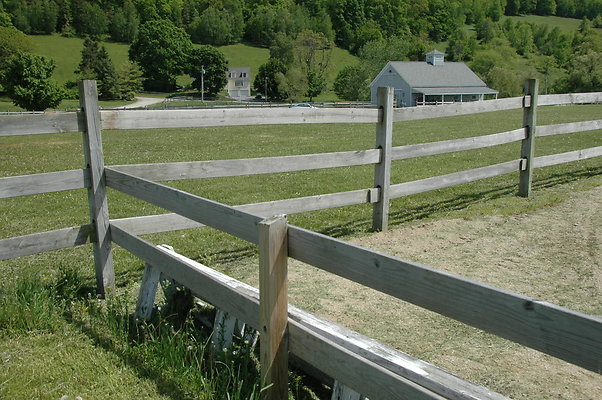 DSC 0098