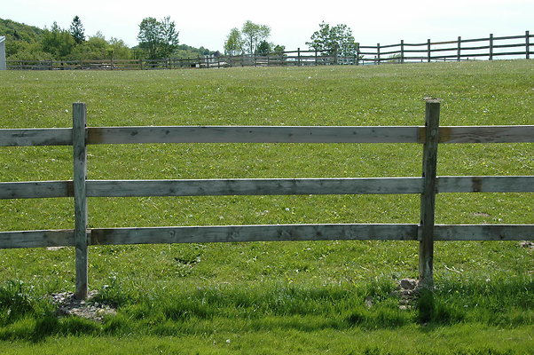 DSC 0003