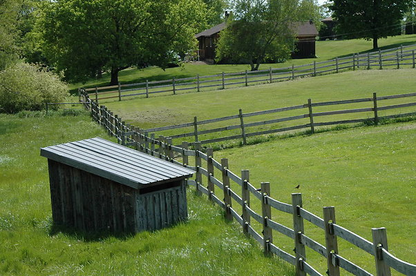 DSC 0063