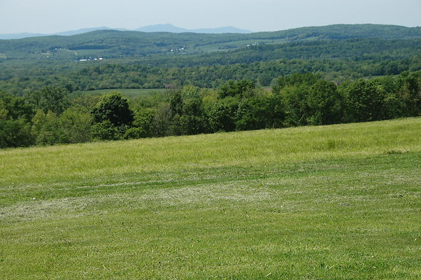 DSC 0109