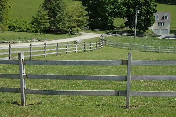 DSC 0094