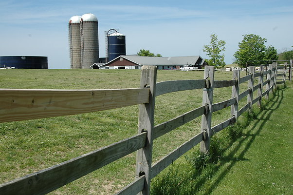 DSC 0085