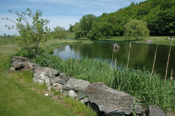DSC 0007