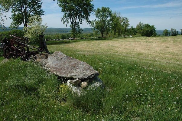 DSC 0135