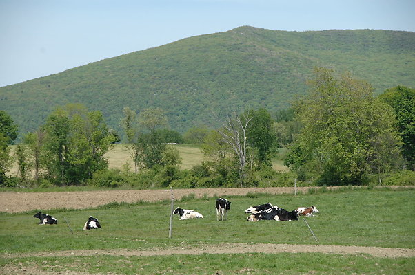 DSC 0129