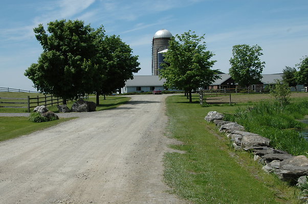 DSC 0019