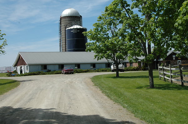 DSC 0095