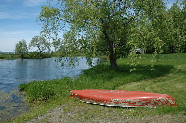 DSC 0050