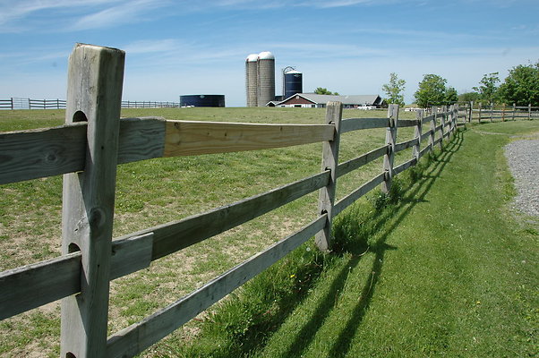 DSC 0084