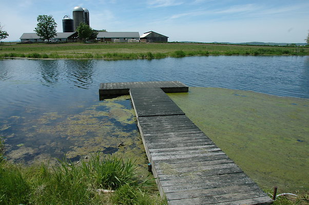 DSC 0049