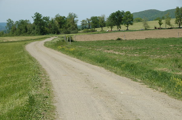 DSC 0128