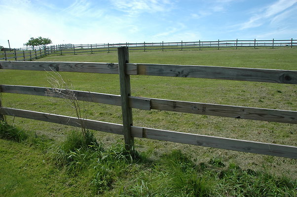 DSC 0033