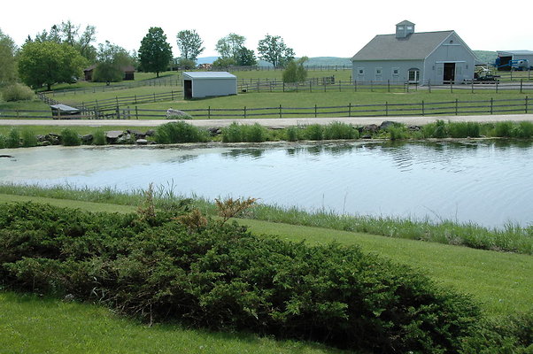 DSC 0055
