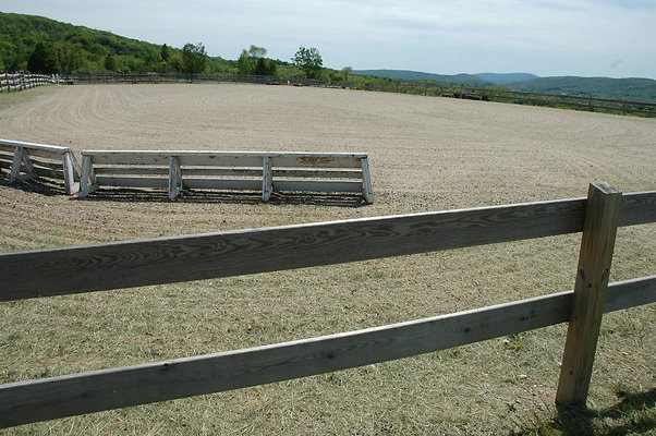 DSC 0100