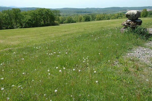 DSC 0130