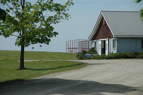 DSC 0014
