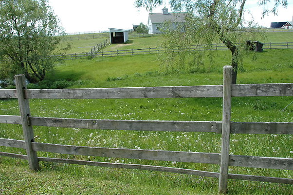 DSC 0038