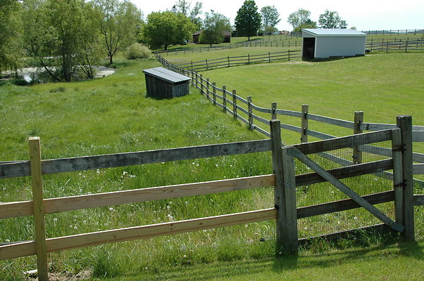 DSC 0062