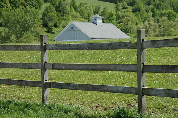 DSC 0117