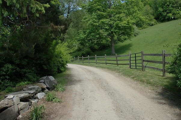 DSC 0040